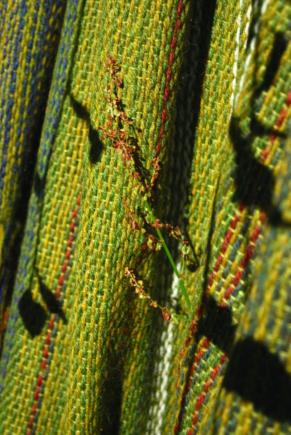 Longest green shawl 4