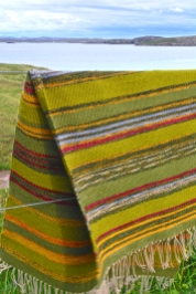 Machair rug most of on fence